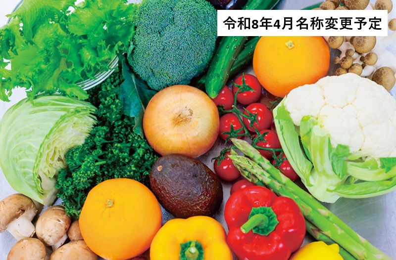 健康栄養学科 管理栄養士コース